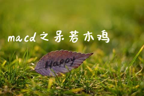 macd之呆若木鸡_https://m.jnkyh.com_期货开户条件_第1张