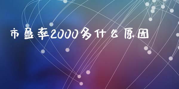 市盈率2000多什么原因_https://m.jnkyh.com_国际原油_第1张