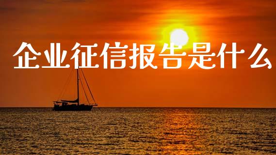 企业征信报告是什么_https://m.jnkyh.com_股票交易_第1张
