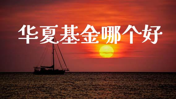 华夏基金哪个好_https://m.jnkyh.com_国际原油_第1张