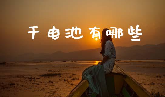 干电池有哪些_https://m.jnkyh.com_期货开户条件_第1张