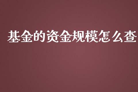 基金的资金规模怎么查_https://m.jnkyh.com_股票交易_第1张