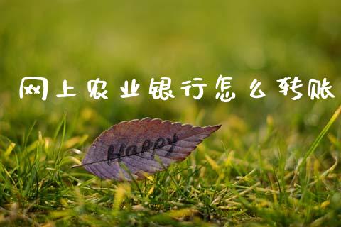 网上农业银行怎么转账_https://m.jnkyh.com_期货开户条件_第1张