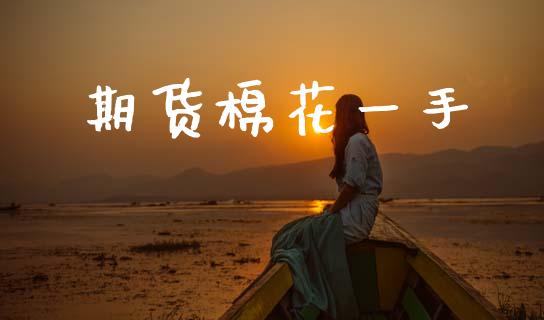 期货棉花一手_https://m.jnkyh.com_股票交易_第1张