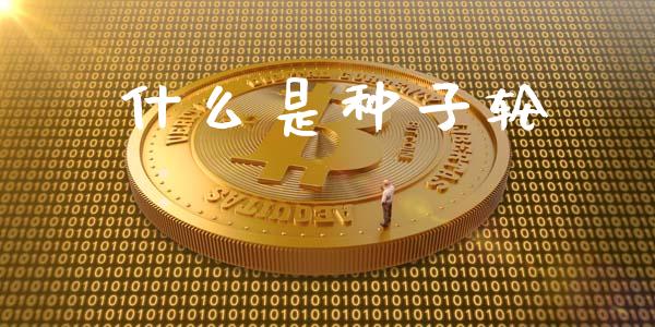 什么是种子轮_https://m.jnkyh.com_国际原油_第1张
