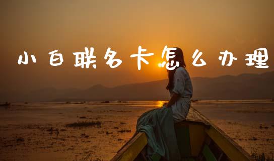 小白联名卡怎么办理_https://m.jnkyh.com_期货开户条件_第1张