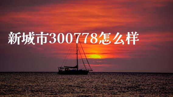 新城市300778怎么样_https://m.jnkyh.com_股票交易_第1张