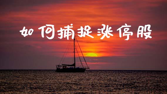 如何捕捉涨停股_https://m.jnkyh.com_期货开户条件_第1张
