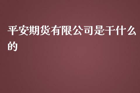 平安期货有限公司是干什么的_https://m.jnkyh.com_期货开户条件_第1张