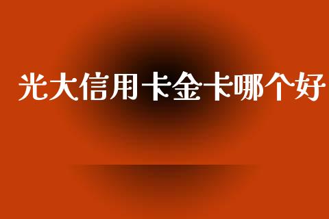 光大信用卡金卡哪个好_https://m.jnkyh.com_股票交易_第1张