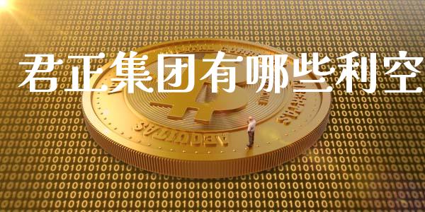 君正集团有哪些利空_https://m.jnkyh.com_股票交易_第1张