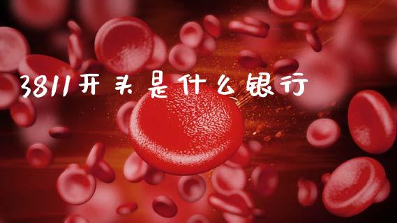 3811开头是什么银行_https://m.jnkyh.com_股票交易_第1张