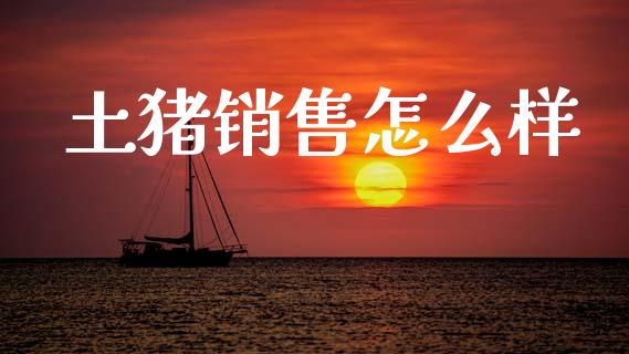 土猪销售怎么样_https://m.jnkyh.com_期货开户条件_第1张