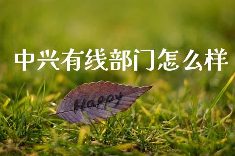 中兴有线部门怎么样_https://m.jnkyh.com_股票交易_第1张