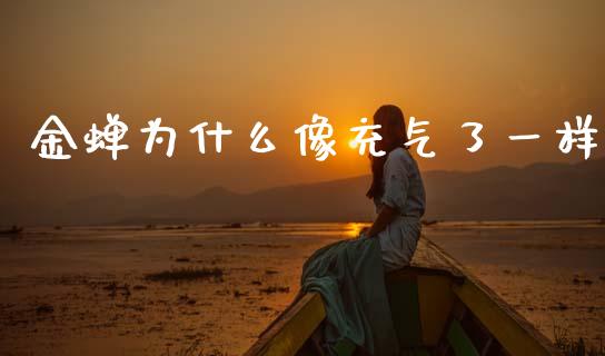 金蝉为什么像充气了一样_https://m.jnkyh.com_股票交易_第1张