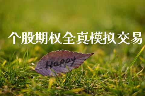 个股期权全真模拟交易_https://m.jnkyh.com_股票交易_第1张