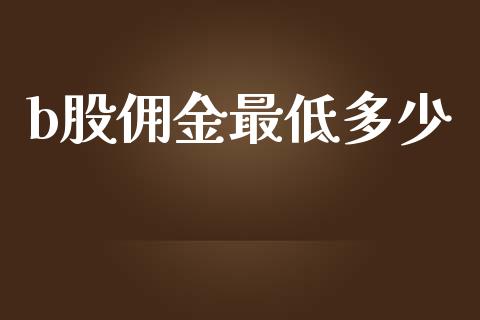 b股佣金最低多少_https://m.jnkyh.com_期货开户条件_第1张