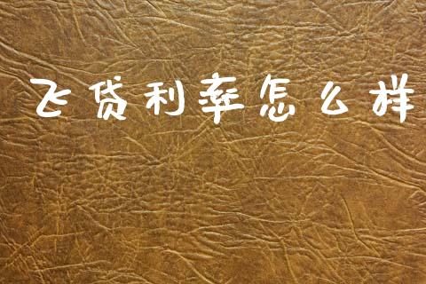 飞贷利率怎么样_https://m.jnkyh.com_股指期货_第1张