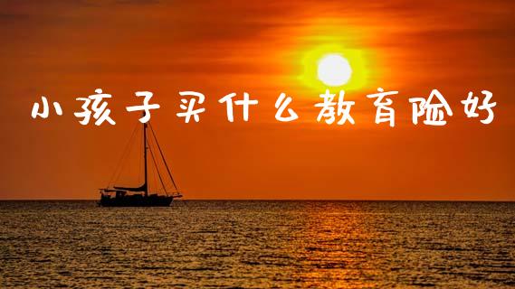 小孩子买什么教育险好_https://m.jnkyh.com_国际原油_第1张