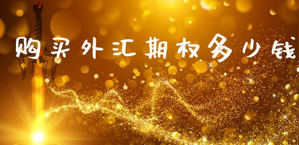 购买外汇期权多少钱_https://m.jnkyh.com_股指期货_第1张