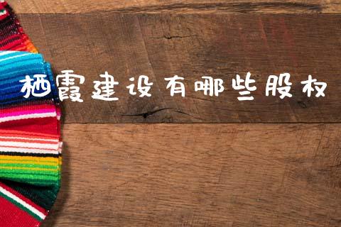 栖霞建设有哪些股权_https://m.jnkyh.com_股票交易_第1张