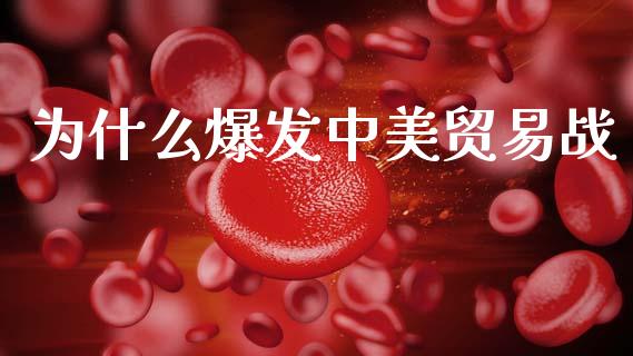 为什么爆发中美贸易战_https://m.jnkyh.com_国际原油_第1张