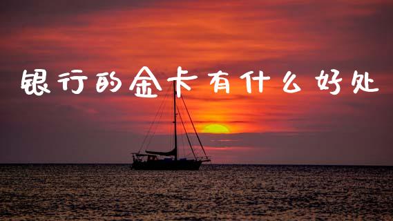 银行的金卡有什么好处_https://m.jnkyh.com_股票交易_第1张
