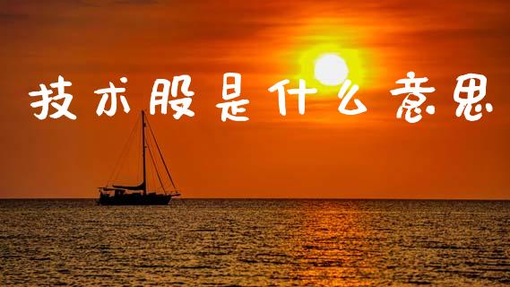 技术股是什么意思_https://m.jnkyh.com_国际原油_第1张