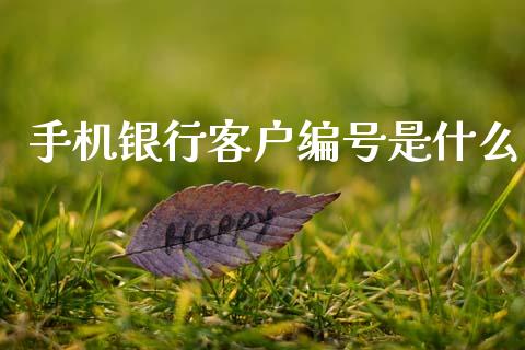 手机银行客户编号是什么_https://m.jnkyh.com_股指期货_第1张