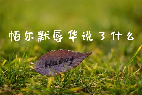 帕尔默辱华说了什么_https://m.jnkyh.com_国际原油_第1张