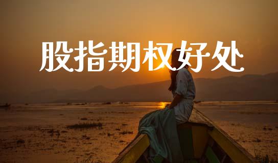 股指期权好处_https://m.jnkyh.com_股指期货_第1张