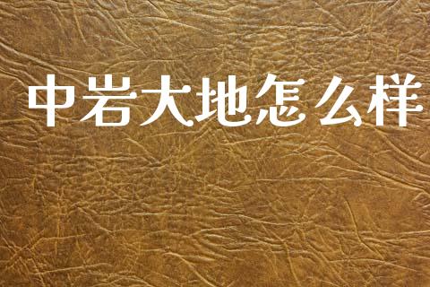 中岩大地怎么样_https://m.jnkyh.com_股票交易_第1张