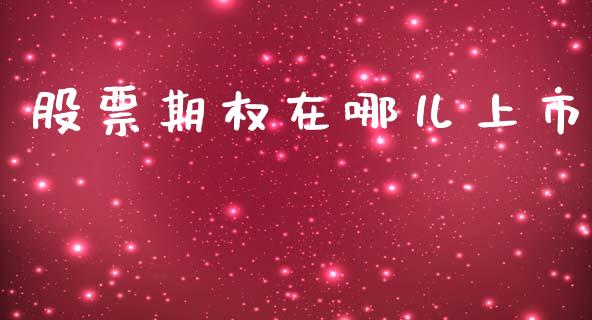 股票期权在哪儿上市_https://m.jnkyh.com_股票交易_第1张