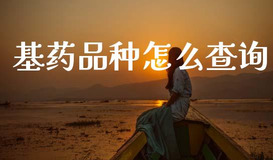 基药品种怎么查询_https://m.jnkyh.com_股票交易_第1张