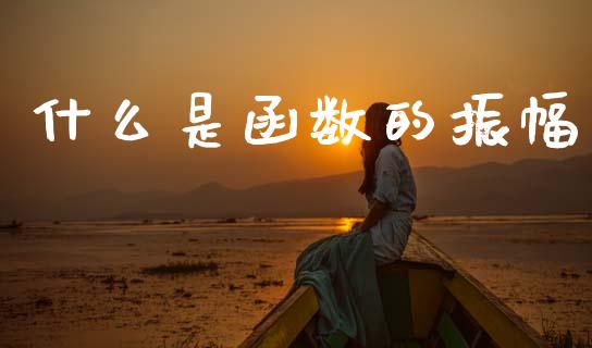 什么是函数的振幅_https://m.jnkyh.com_股指期货_第1张