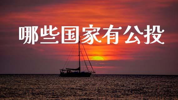 哪些国家有公投_https://m.jnkyh.com_国际原油_第1张