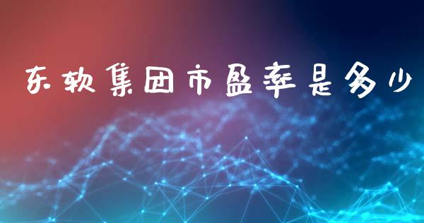 东软集团市盈率是多少_https://m.jnkyh.com_期货开户条件_第1张