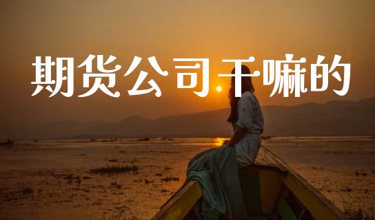 期货公司干嘛的_https://m.jnkyh.com_股指期货_第1张
