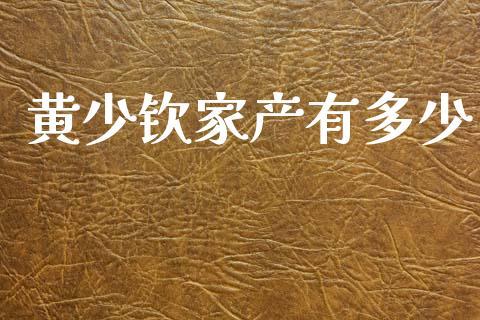黄少钦家产有多少_https://m.jnkyh.com_股票交易_第1张