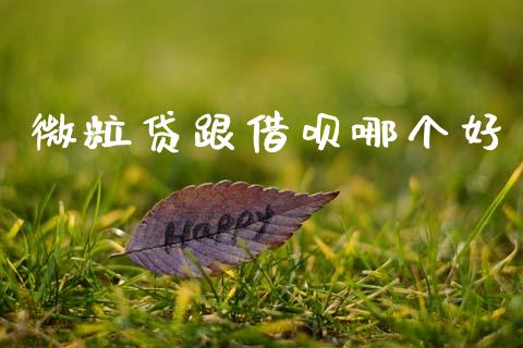 微粒贷跟借呗哪个好_https://m.jnkyh.com_股票交易_第1张