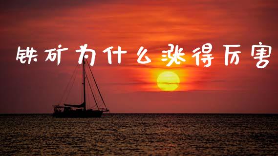 铁矿为什么涨得厉害_https://m.jnkyh.com_国际原油_第1张