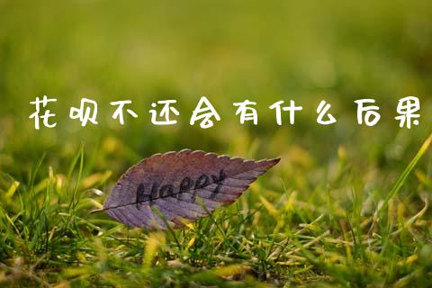 花呗不还会有什么后果_https://m.jnkyh.com_股指期货_第1张