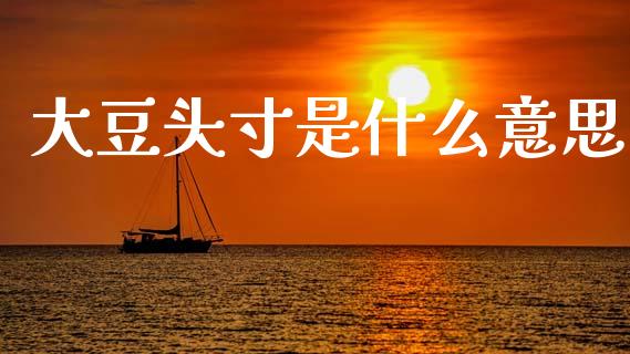 大豆头寸是什么意思_股票交易_第1张_股指期货_期货开户条件_国际原油_股票交易 大豆头寸是什么意思_https://m.jnkyh.com_股票交易_第1张