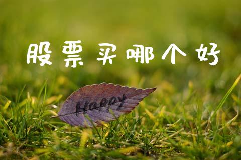 股票买哪个好_股票交易_第1张_股指期货_期货开户条件_国际原油_股票交易 股票买哪个好_https://m.jnkyh.com_股票交易_第1张