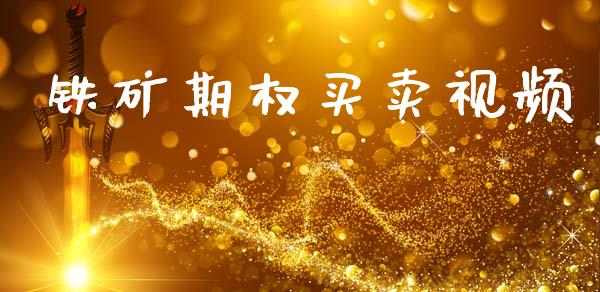 铁矿期权买卖视频_https://m.jnkyh.com_股指期货_第1张