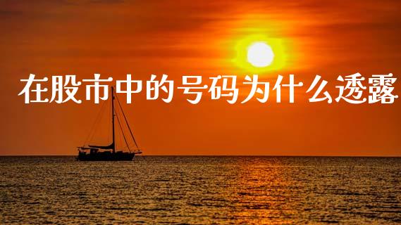 在股市中的号码为什么透露_https://m.jnkyh.com_股指期货_第1张