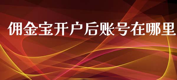 佣金宝开户后账号在哪里_https://m.jnkyh.com_国际原油_第1张