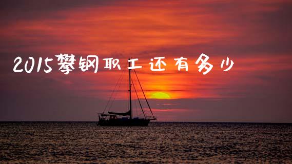 2015攀钢职工还有多少_https://m.jnkyh.com_股指期货_第1张