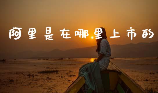 阿里是在哪里上市的_https://m.jnkyh.com_股票交易_第1张