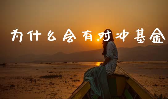 为什么会有对冲基金_https://m.jnkyh.com_国际原油_第1张